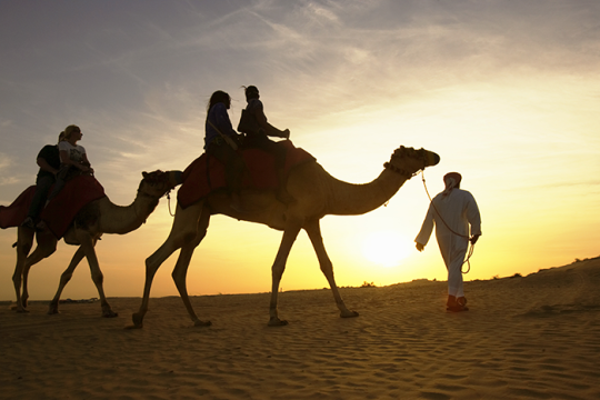 Photo of a person walking two camels in the desert, two people are riding on one, one person is riding on the other